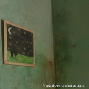 Viendote a distancia