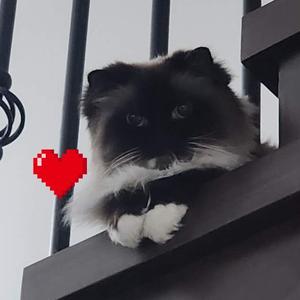 他在哪里去哪里