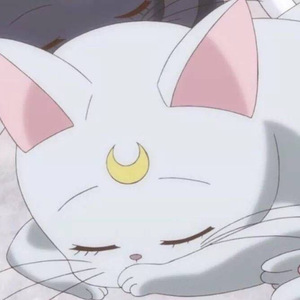 With You Every Night