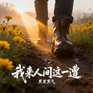 我来人间走一遭