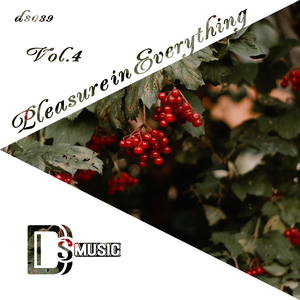 Electromagnetic (Original Mix)