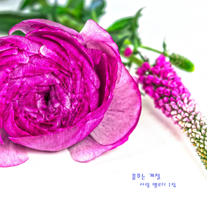 꿈꾸는 계절