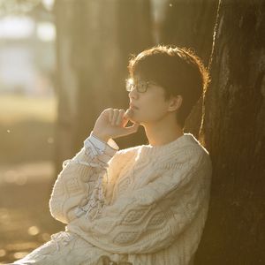 许嵩 新鸳鸯蝴蝶梦