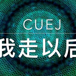 我走以后