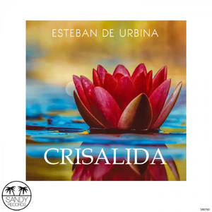 Crisalida (Original Mix)