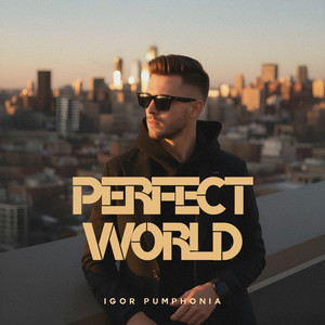 Perfect World (Original Mix)