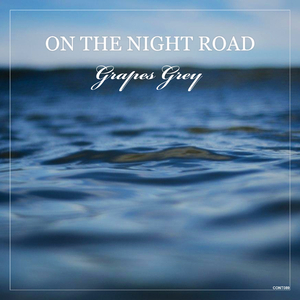 On the Night Road (Original Mix)