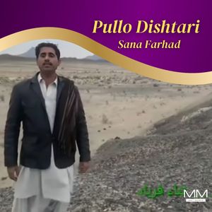 Pullo Dishtari