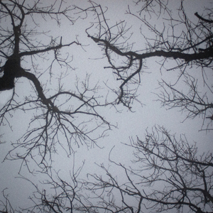 Полный холод