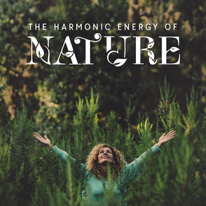 Daily Meditation Session