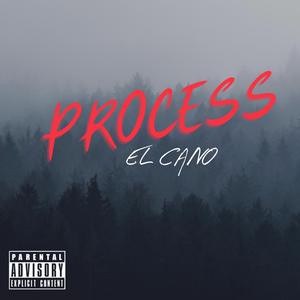 Process