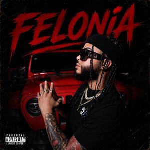 Felonia