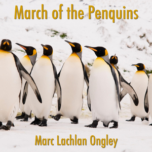 March of the Penquins