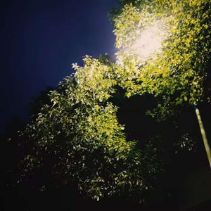 离别无声
