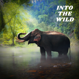 We Got Lost On The Way