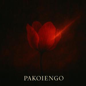 PAPAVERO ROSSO