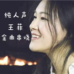 王菲纯人声金曲串烧