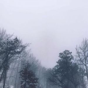 [FREE BEAT]枯枝败叶 lil baby&gunna trap type beat