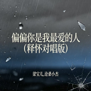 偏偏你是我最爱的人(释怀对唱版)