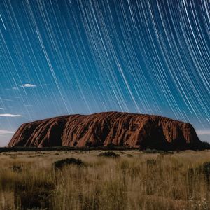 你的名字是生命的答案