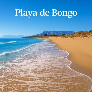 Playa de Bongo