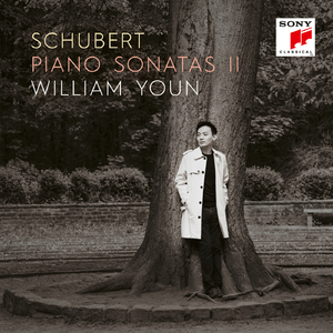 Piano Sonata No. 4 in A Minor, D. 537, Op. posth. 164:I. Allegro ma non troppo