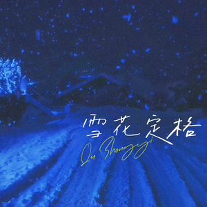 雪花定格-Qu Zhongyi
