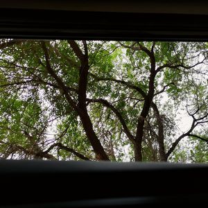 给朋友未完成的歌