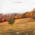 向日葵的花语 (吉他版)(DJ阿姬 remix)
