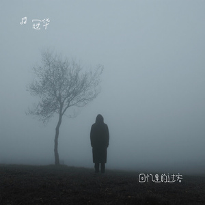 回忆里的过客