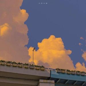 芒种（翻自 音阙诗听）