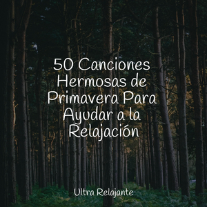 Hechizos Anti Estrés