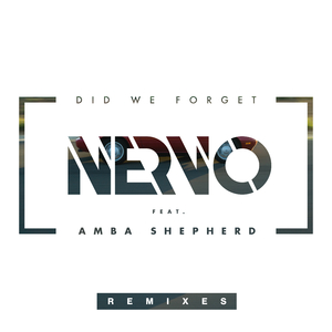 Did We Forget (Onur Aktemur Remix)