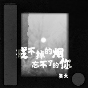 戒不掉的烟忘不了的你