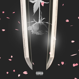 The Iconic House of Ninja (Remix)