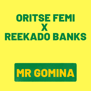 Mr Gomina