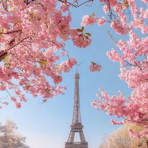 Petals Fell Before I Noticed You