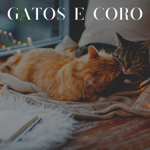 Legal Como um Gato