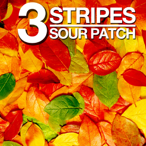 DSTR (Pickster One Remix)