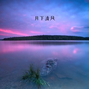 月下清风 (古琴)