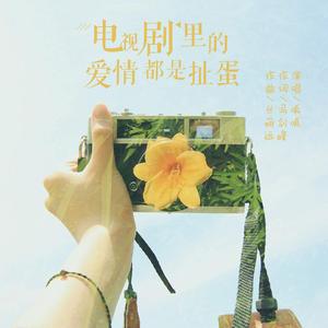 电视剧里的爱情都是扯蛋 (伴奏)