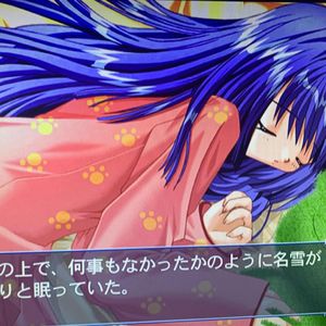 无法飞翔的翅膀