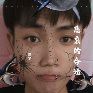 命运的悲哀