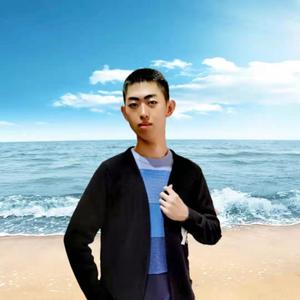 白龙马（翻自 吸引力合唱组）