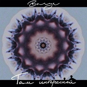 Котлеты, коты