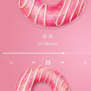 宠坏（DJ小祖Remix）