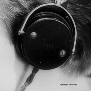 X Malfeasant, Appropriating Y