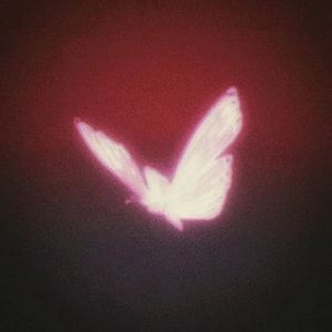 给奶奶的歌(prod.by Lyoung)