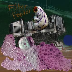 Filter Feeder