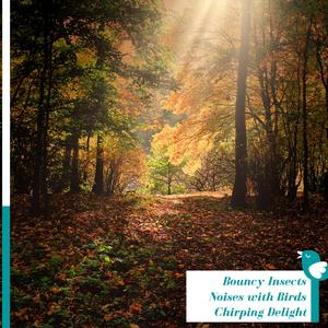 Drizzling Rain Aftermath